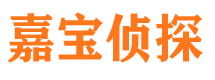 高港调查公司